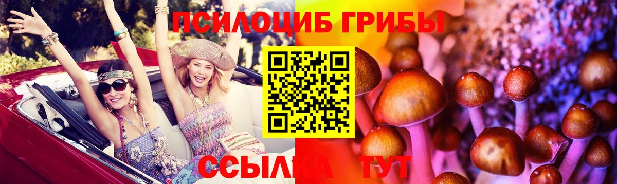 Галлюциногенные грибы Psilocybine cubensis  Вход с VPN  купить закладку  Галлюциногенные грибы Cubensis  Нефтекумск 